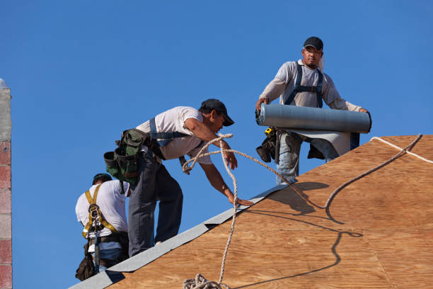 Best Commercial Roofing Services  in Jerome, IL