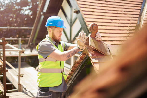 Best Roof Maintenance Services  in Jerome, IL
